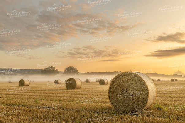 To buy a print or any of the below please click on the images